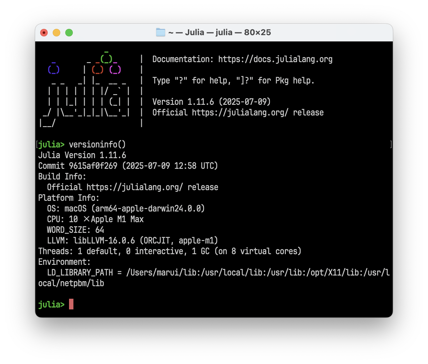 Julia Startup Screen